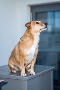 221101_bramsteidl_0045