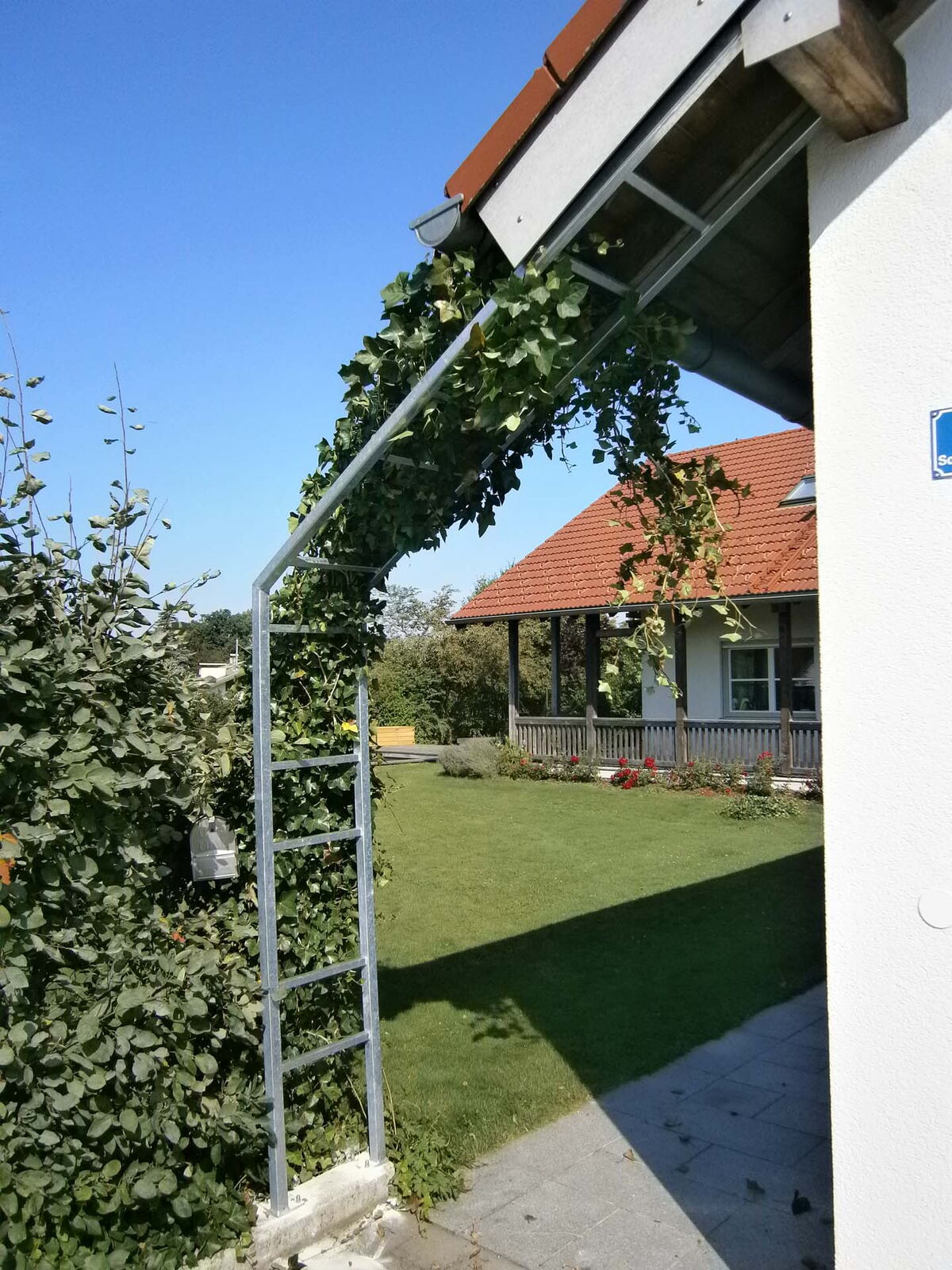 Rosenbogen-rjhxab8a19hpw0b