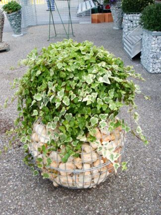 gabionen-steinkoerbe-bramsteidl-060-324x432